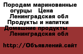 Породам маринованные огурцы › Цена ­ 400 - Ленинградская обл. Продукты и напитки » Домашние продукты   . Ленинградская обл.